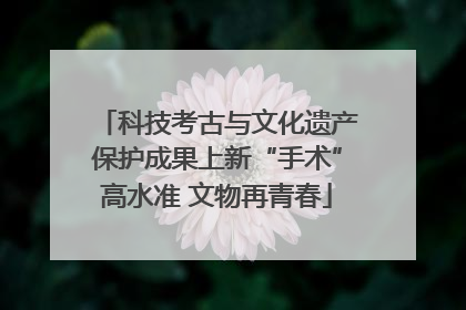 科技考古与文化遗产保护成果上新“手术”高水准 文物再青春