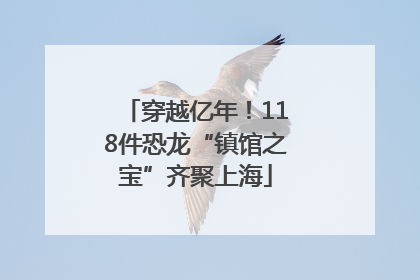 穿越亿年！118件恐龙“镇馆之宝”齐聚上海