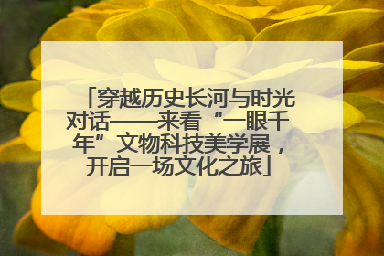 穿越历史长河与时光对话——来看“一眼千年”文物科技美学展，开启一场文化之旅
