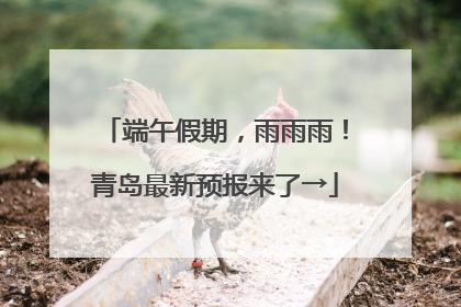 端午假期，雨雨雨！青岛最新预报来了→