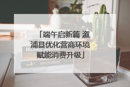 端午启新篇 溆浦县优化营商环境赋能消费升级