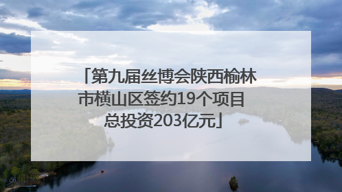 第九届丝博会陕西榆林市横山区签约19个项目 总投资203亿元
