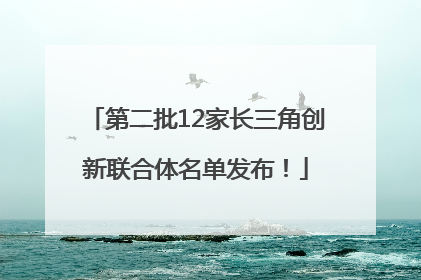 第二批12家长三角创新联合体名单发布！