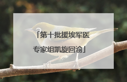 第十批援埃军医专家组凯旋回渝