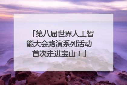 第八届世界人工智能大会路演系列活动首次走进宝山！