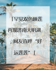 罕见双色睡莲再现济南大明湖，网友直呼“好运莲莲”