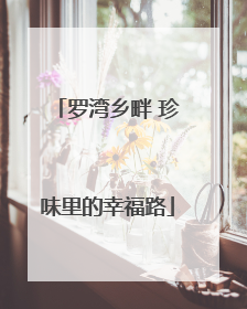 罗湾乡畔 珍味里的幸福路