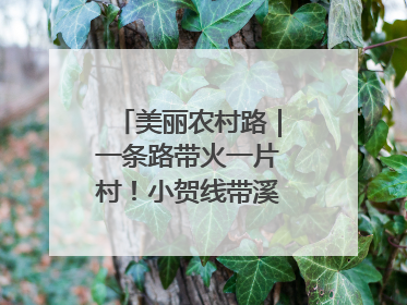 美丽农村路｜一条路带火一片村！小贺线带溪望谷成团出道