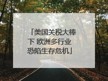美国关税大棒下 欧洲多行业恐陷生存危机