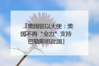 美国驻以大使：美国不再“全力”支持巴勒斯坦建国