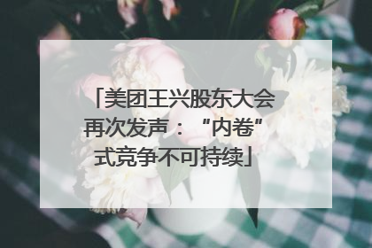 美团王兴股东大会再次发声：“内卷”式竞争不可持续