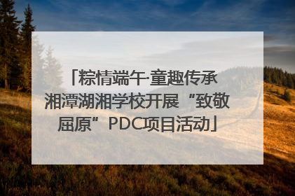 粽情端午·童趣传承 湘潭湖湘学校开展“致敬屈原”PDC项目活动