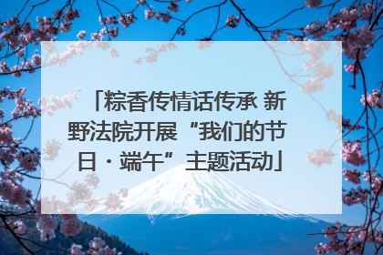 粽香传情话传承 新野法院开展“我们的节日・端午”主题活动