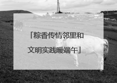 粽香传情邻里和 文明实践暖端午
