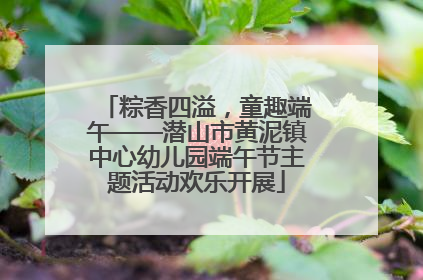 粽香四溢，童趣端午——潜山市黄泥镇中心幼儿园端午节主题活动欢乐开展