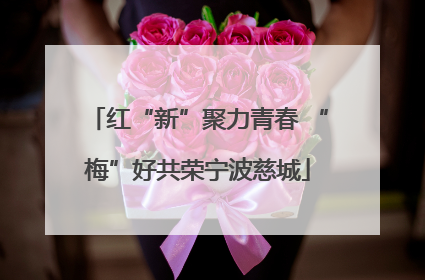 红“新”聚力青春 “梅”好共荣宁波慈城