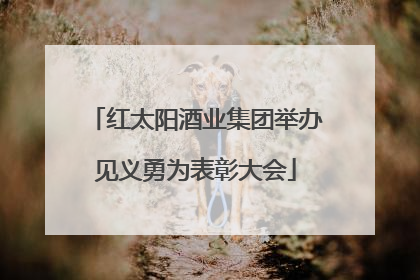 红太阳酒业集团举办见义勇为表彰大会