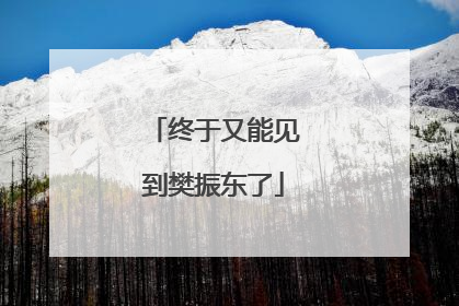 终于又能见到樊振东了