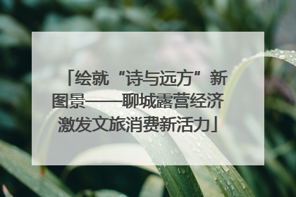 绘就“诗与远方”新图景——聊城露营经济激发文旅消费新活力