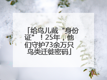 给鸟儿戴“身份证”！25年，他们守护73余万只鸟类迁徙密码