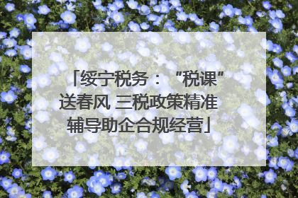 绥宁税务：“税课”送春风 三税政策精准辅导助企合规经营