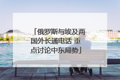 俄罗斯与埃及两国外长通电话 重点讨论中东局势