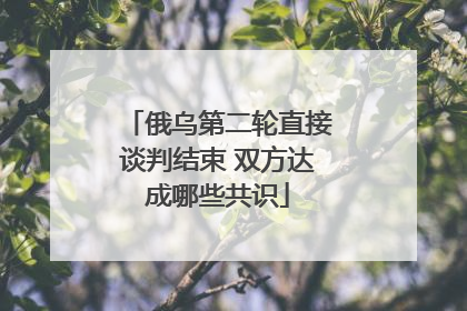 俄乌第二轮直接谈判结束 双方达成哪些共识
