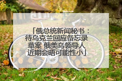 俄总统新闻秘书：待乌克兰回应备忘录草案 俄美乌领导人近期会晤可能性小
