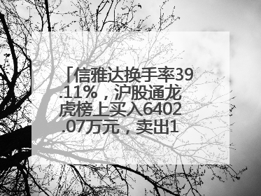 信雅达换手率39.11%，沪股通龙虎榜上买入6402.07万元，卖出1.67亿元