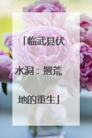 临武县伏水洞：撂荒地的重生