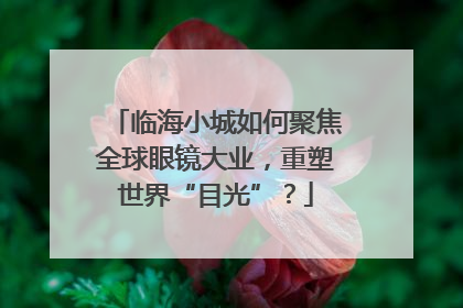 临海小城如何聚焦全球眼镜大业，重塑世界“目光”？