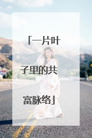 一片叶子里的共富脉络