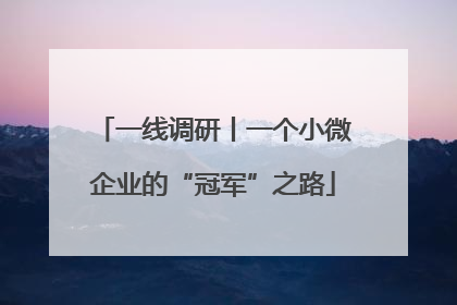 一线调研丨一个小微企业的“冠军”之路