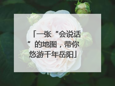 一张“会说话”的地图，带你悠游千年岳阳