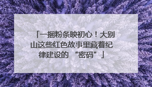 一捆粉条映初心！大别山这些红色故事里藏着纪律建设的 “密码”