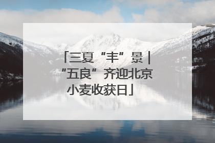三夏“丰”景｜“五良”齐迎北京小麦收获日