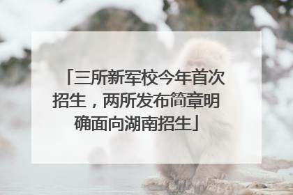 三所新军校今年首次招生，两所发布简章明确面向湖南招生