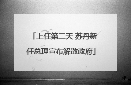 上任第二天 苏丹新任总理宣布解散政府