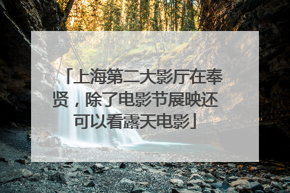 上海第二大影厅在奉贤，除了电影节展映还可以看露天电影