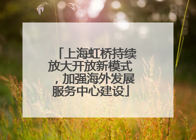 上海虹桥持续放大开放新模式，加强海外发展服务中心建设