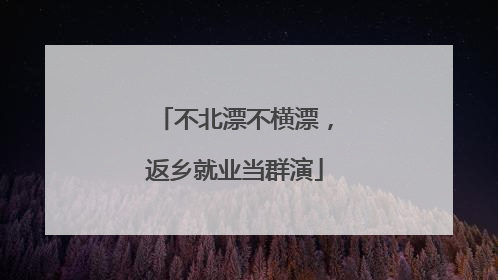 不北漂不横漂，返乡就业当群演