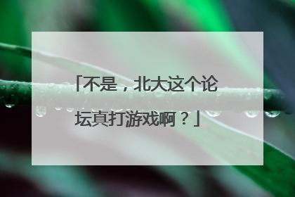 不是，北大这个论坛真打游戏啊？