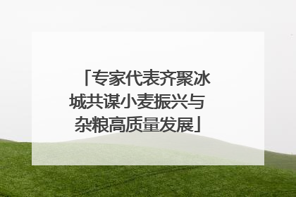 专家代表齐聚冰城共谋小麦振兴与杂粮高质量发展