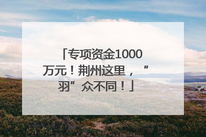 专项资金1000万元！荆州这里，“羽”众不同！