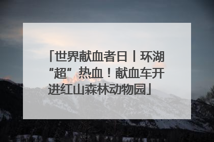 世界献血者日丨环湖“超”热血！献血车开进红山森林动物园