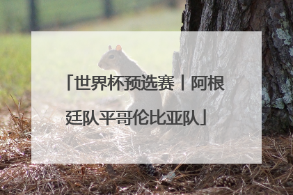 世界杯预选赛丨阿根廷队平哥伦比亚队