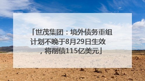 世茂集团：境外债务重组计划不晚于8月29日生效，将削债115亿美元