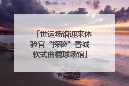 世运场馆迎来体验官“探秘”香城软式曲棍球场馆