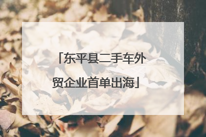 东平县二手车外贸企业首单出海