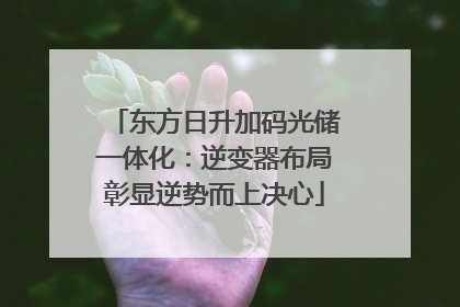 东方日升加码光储一体化：逆变器布局彰显逆势而上决心
